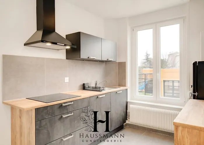 公寓 Magnifique Pop Art 南锡